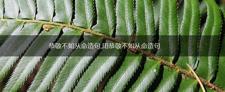 恭敬不如从命造句,用恭敬不如从命造句,第1张