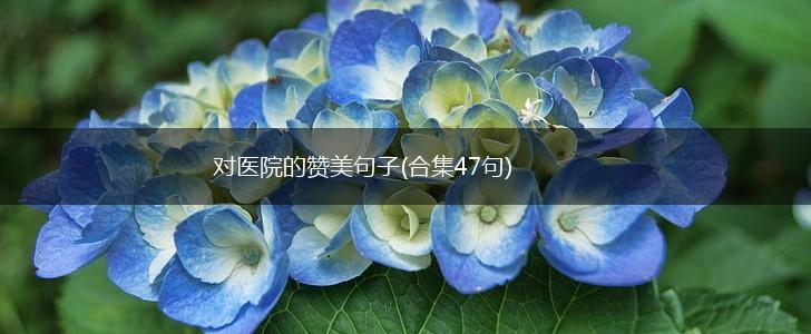 对医院的赞美句子(合集47句),第1张