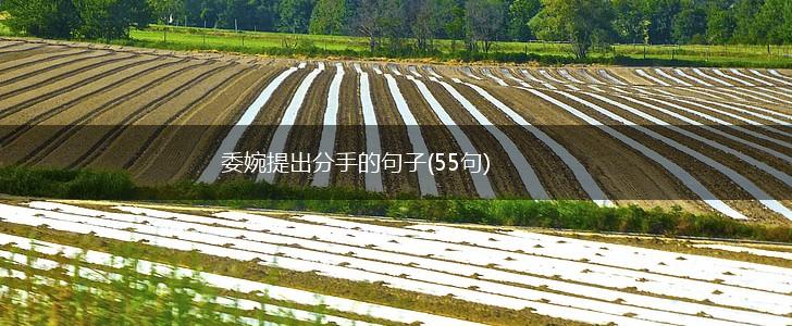 委婉提出分手的句子(55句),第1张