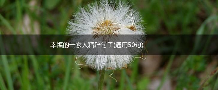 幸福的一家人精辟句子(通用50句),第1张