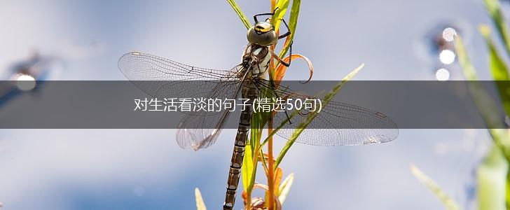对生活看淡的句子(精选50句),第1张