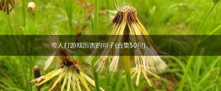 夸人打游戏厉害的句子(合集50句),第1张