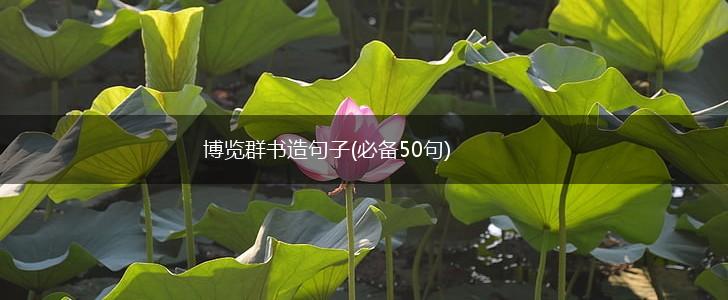 博览群书造句子(必备50句),第1张