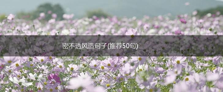 密不透风造句子(推荐50句),第1张