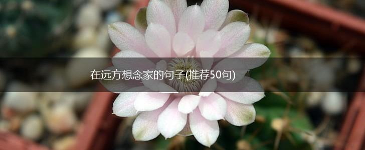 在远方想念家的句子(推荐50句),第1张