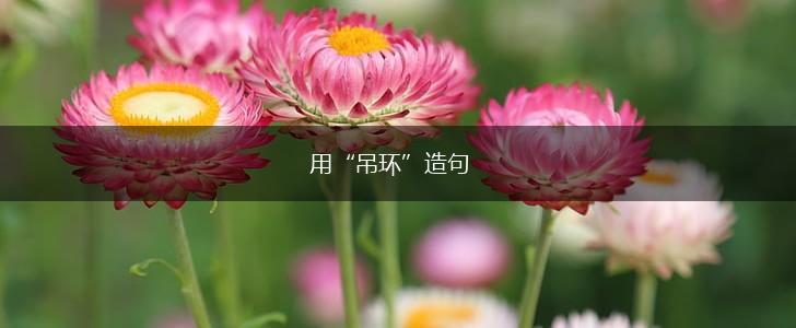 用“吊环”造句,第1张