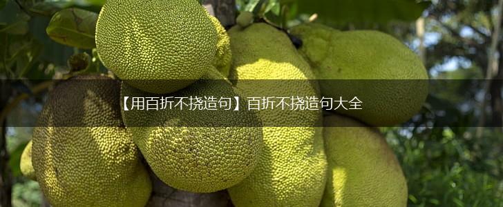 【用百折不挠造句】百折不挠造句大全,第1张