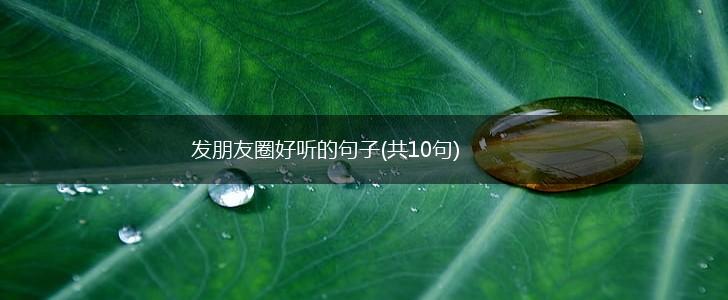 发朋友圈好听的句子(共10句),第1张