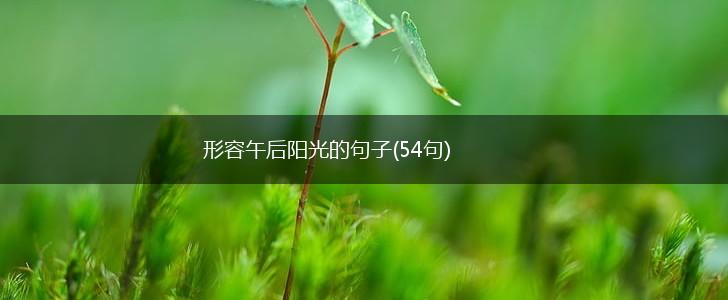 形容午后阳光的句子(54句),第1张