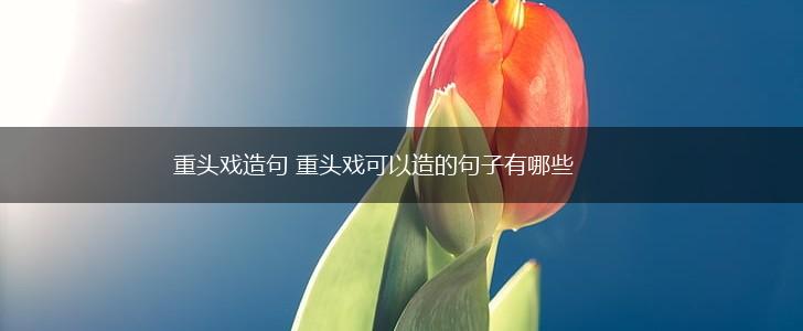 重头戏造句 重头戏可以造的句子有哪些,第1张