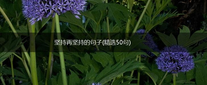 坚持再坚持的句子(精选50句),第1张