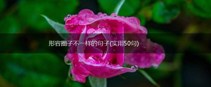 形容圈子不一样的句子(实用50句),第1张