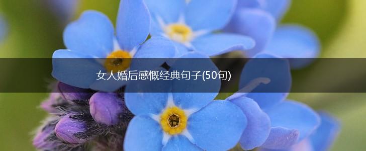 女人婚后感慨经典句子(50句),第1张