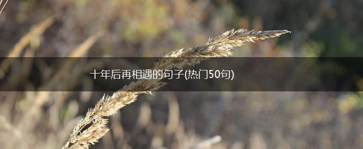十年后再相遇的句子(热门50句),第1张