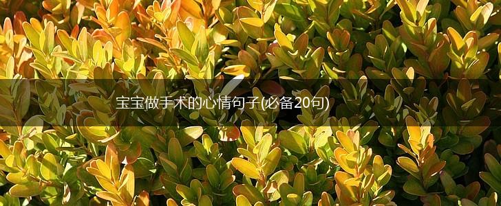 宝宝做手术的心情句子(必备20句),第1张