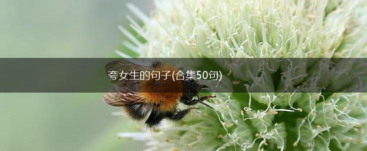夸女生的句子(合集50句),第1张