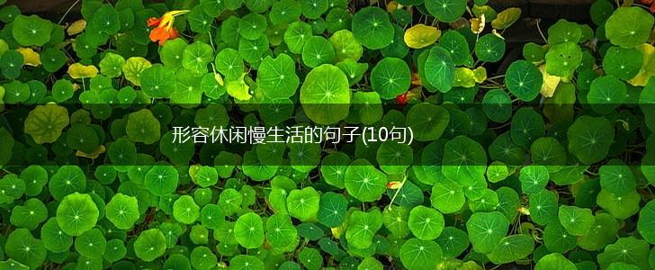 形容休闲慢生活的句子(10句),第1张