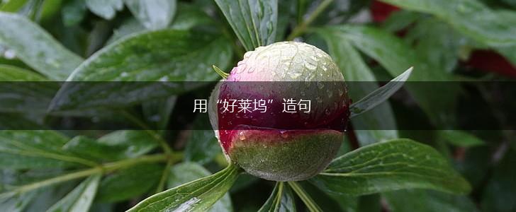 用“好莱坞”造句,第1张
