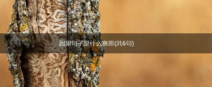 因果句子是什么意思(共6句),第1张