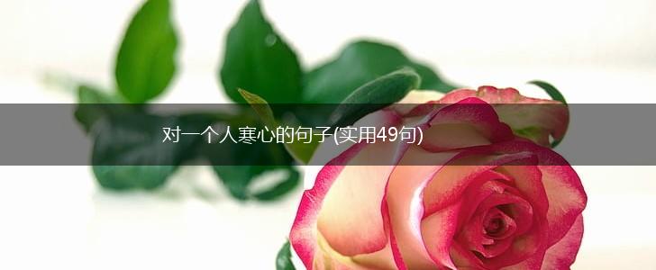 对一个人寒心的句子(实用49句),第1张