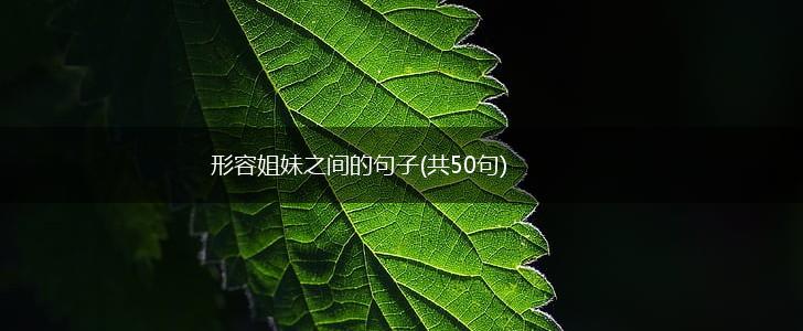 形容姐妹之间的句子(共50句),第1张