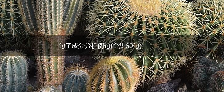 句子成分分析例句(合集60句),第1张