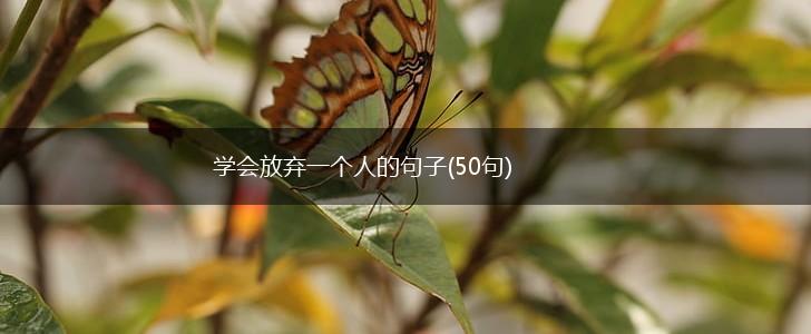 学会放弃一个人的句子(50句),第1张