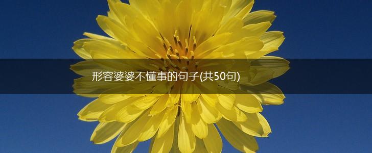 形容婆婆不懂事的句子(共50句),第1张