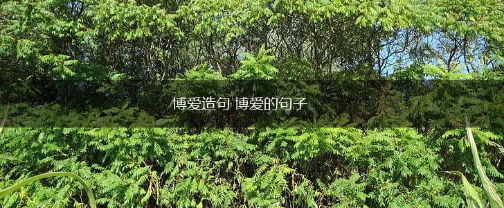 博爱造句 博爱的句子,第1张