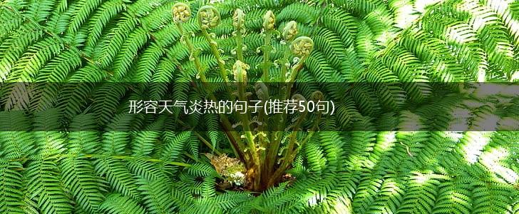 形容天气炎热的句子(推荐50句),第1张