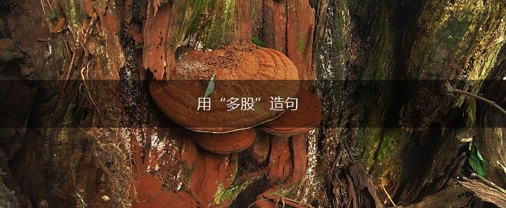 用“多股”造句,第1张