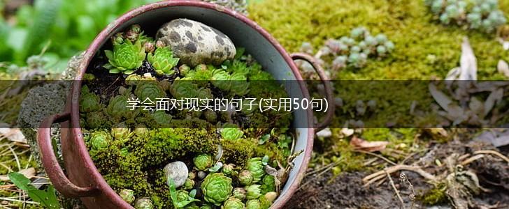 学会面对现实的句子(实用50句),第1张