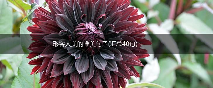形容人美的唯美句子(汇总40句),第1张