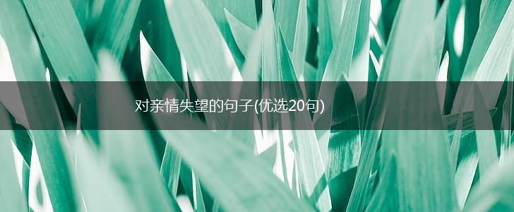 对亲情失望的句子(优选20句),第1张