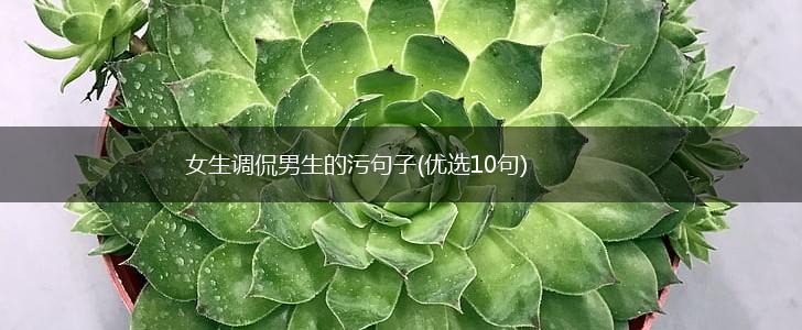 女生调侃男生的污句子(优选10句),第1张
