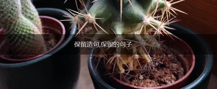 保留造句,保留的句子,第1张
