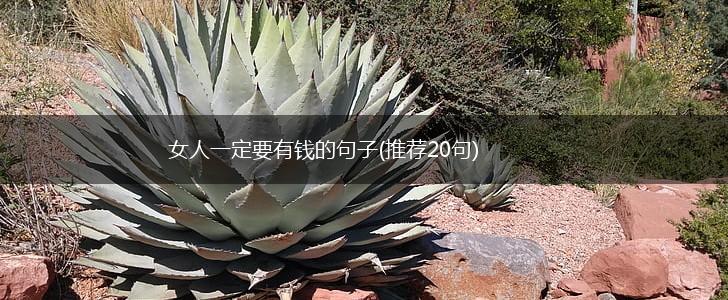 女人一定要有钱的句子(推荐20句),第1张