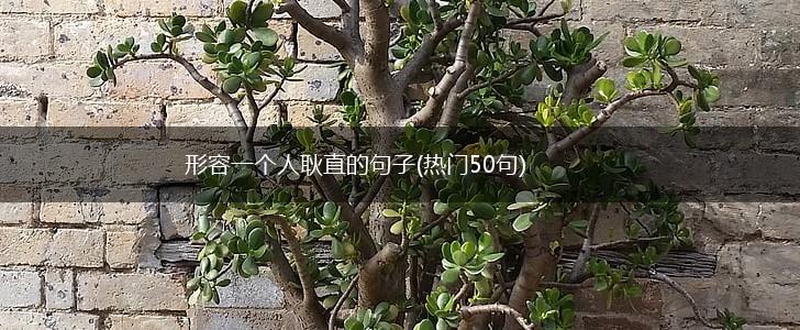 形容一个人耿直的句子(热门50句),第1张