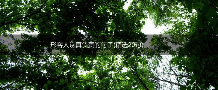 形容人认真负责的句子(精选20句),第1张