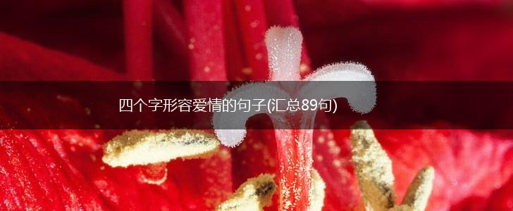 四个字形容爱情的句子(汇总89句),第1张