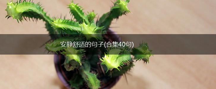 安静舒适的句子(合集40句),第1张