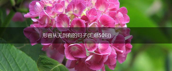 形容从无到有的句子(汇总50句),第1张