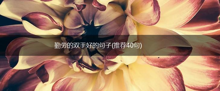 勤劳的双手好的句子(推荐40句),第1张