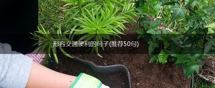 形容交通便利的句子(推荐50句),第1张