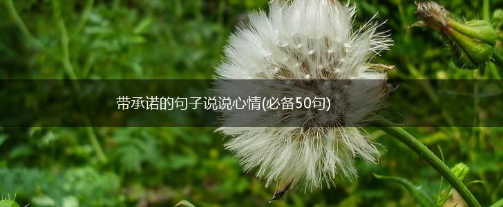 带承诺的句子说说心情(必备50句),第1张