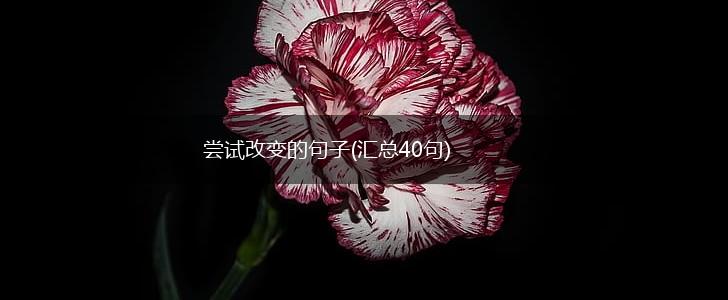 尝试改变的句子(汇总40句),第1张