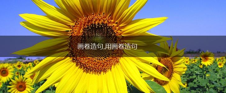 画卷造句,用画卷造句,第1张