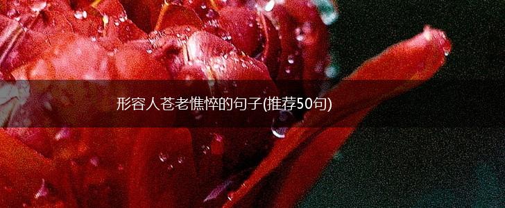 形容人苍老憔悴的句子(推荐50句),第1张