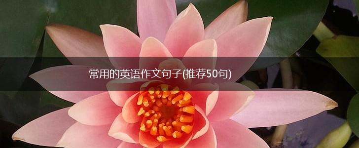 常用的英语作文句子(推荐50句),第1张