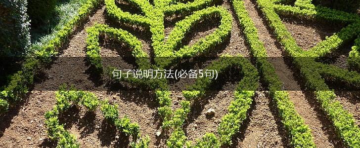 句子说明方法(必备5句),第1张
